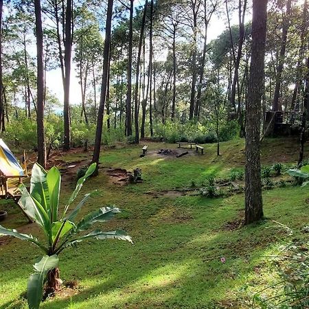 Cabana Rustica A 1Km De Cascada Mazamitla Kültér fotó