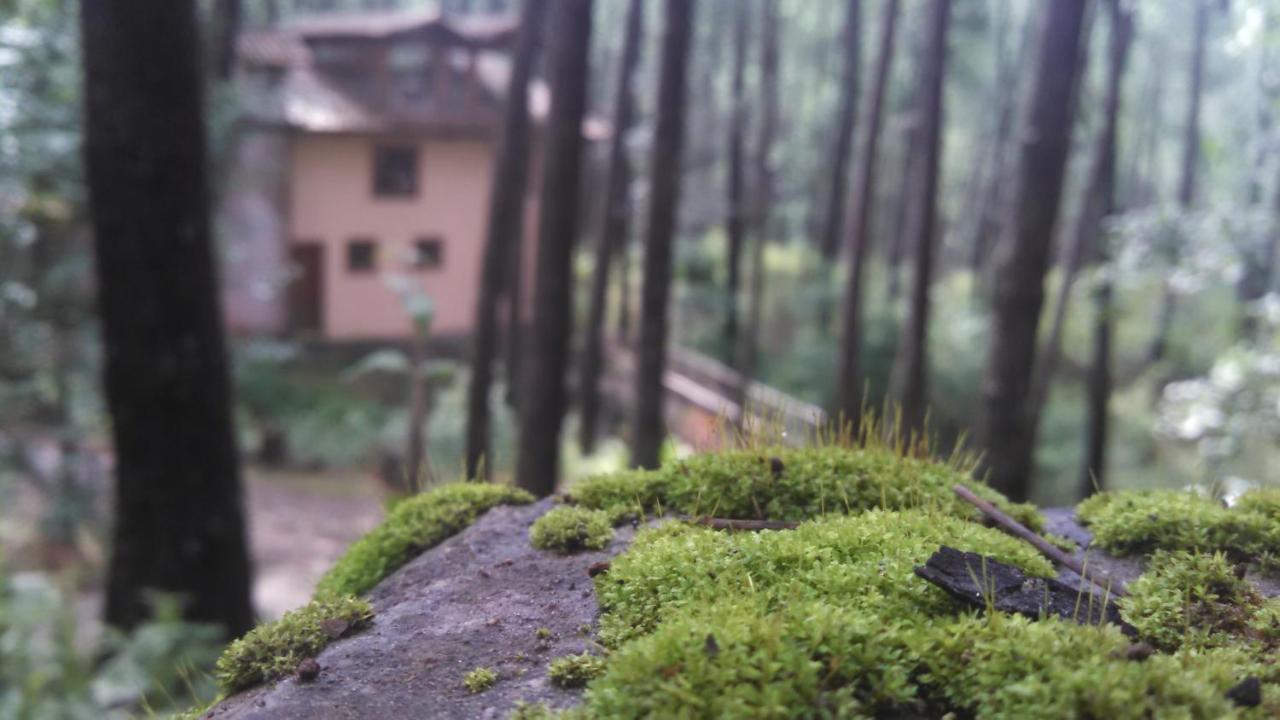 Cabana Rustica A 1Km De Cascada Mazamitla Kültér fotó