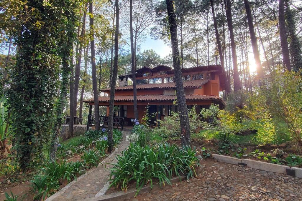 Cabana Rustica A 1Km De Cascada Mazamitla Kültér fotó