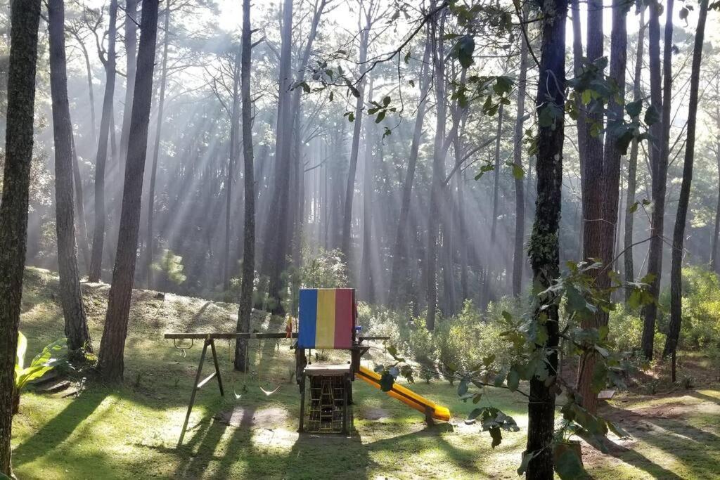 Cabana Rustica A 1Km De Cascada Mazamitla Kültér fotó