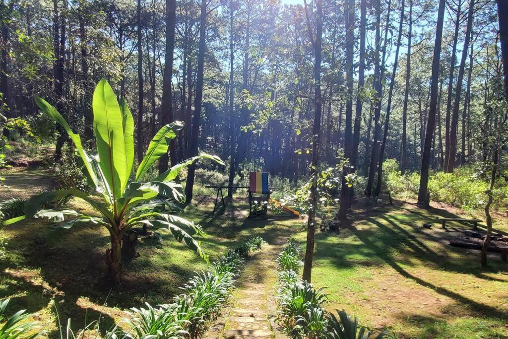Cabana Rustica A 1Km De Cascada Mazamitla Kültér fotó