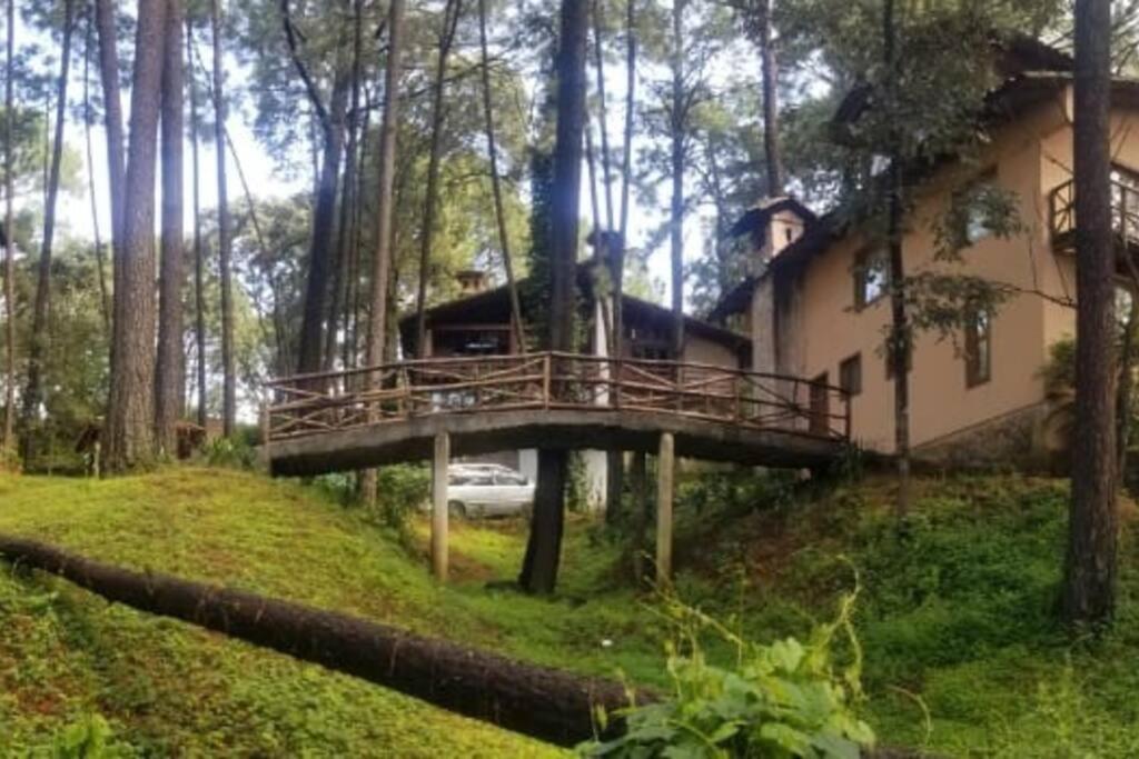 Cabana Rustica A 1Km De Cascada Mazamitla Kültér fotó